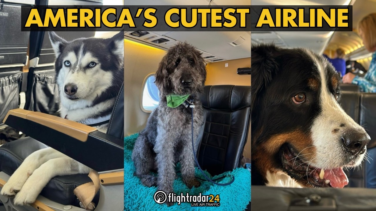 The Dog Jet: Flying Across America With RetrievAir