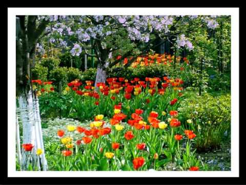 Floarĭa-n pruńi a-nflurit - Katica Aranđelović