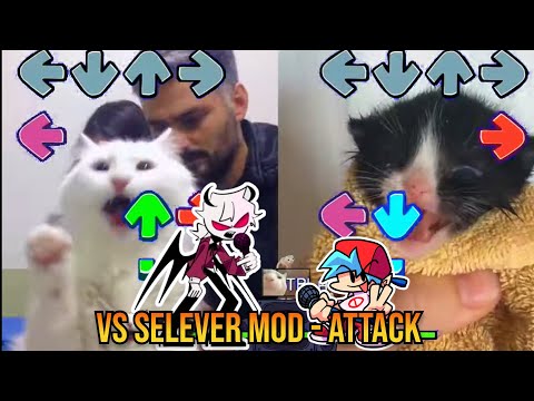 ATTACK Selever BUT TURKISH CAT VS TOWEL KITTEN - FNF Animation  - Mid Fight Masses