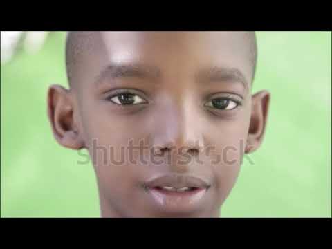 home of the brave trailer