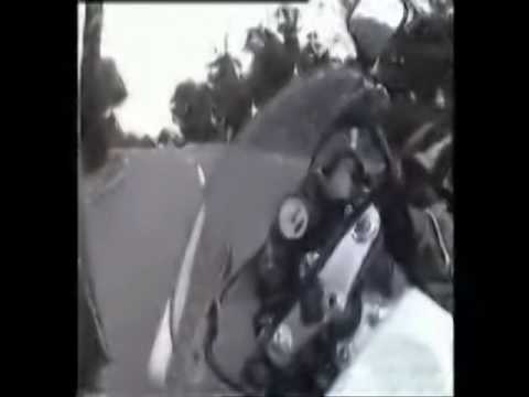 MOTORA VOZACI PAS MATERSI