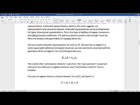 Higher Spin States in Quantum Mechanics | Representation Theory of su(2)