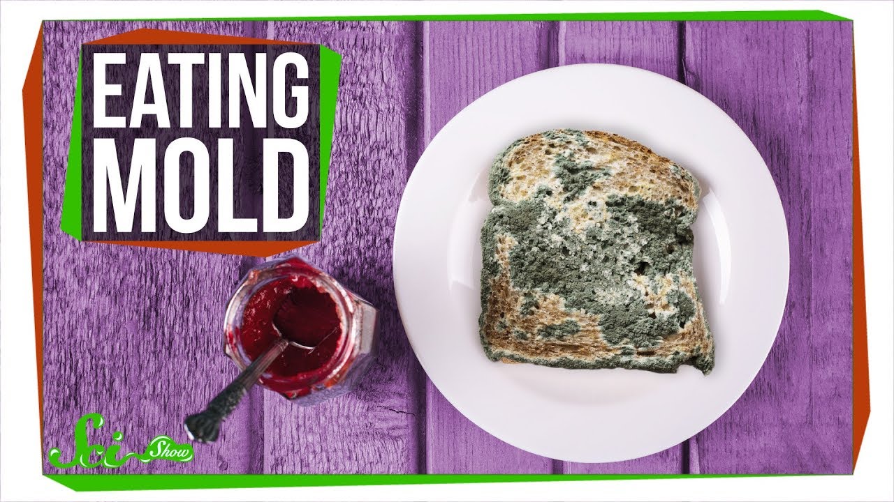 What Actually Happens If You Eat Mold?