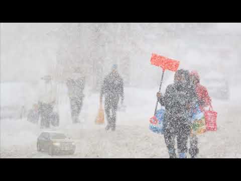 In pictures Snowstorm in Buffalo | Buffalo snow storm