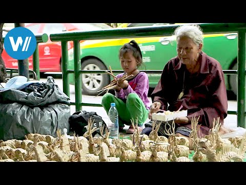 Chatuchak, Bangkok's giant market (360° - GEO Reportage)