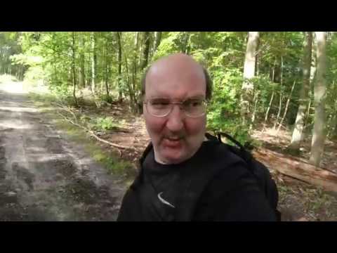 MongoTV_3582 - Danish Vlog - Skovtur i Frederiksdal LØNNINGSDAG Fredag 30.August 2019