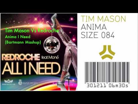 Tim Mason Vs Redroche - Anima I Need (Bartmann Mashup)