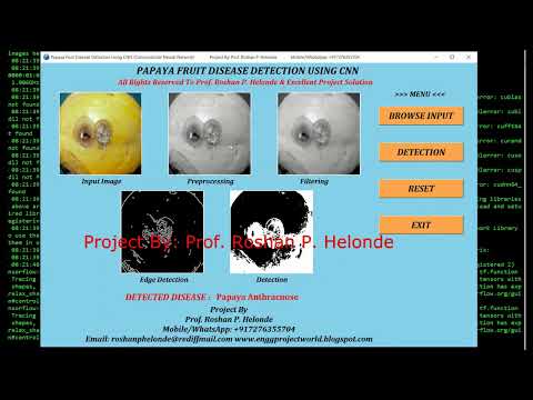 Papaya Fruit Disease Classification Using Image Processing With Source Code Python Project Code