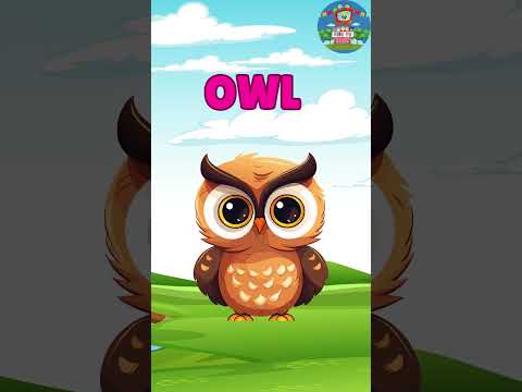 Learn to read three letter Words (M-R) | Fun Phonics for Kids #shorts #3letterwords