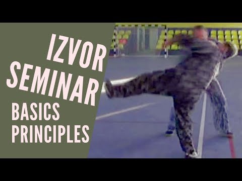 Fighting no rules basics principles - Russian martial arts IZVOR