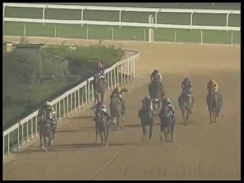 Macau Meeting Race 4(0246)