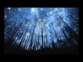 Magic and Moonlight (Nox Arcana)