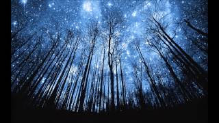 Magic and Moonlight (Nox Arcana)