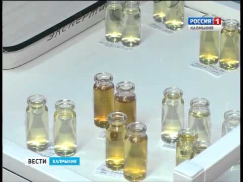 Вести «Калмыкия»: дневной выпуск 25.03.2016
