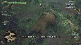 遅れたけど、こやたがモンハンを始めました！