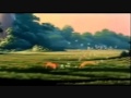 lion king busa 