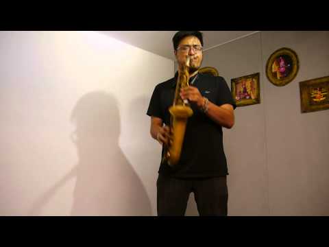 Lebayle Alto Sax Studio IV Newest Model - Gold Plated image 6