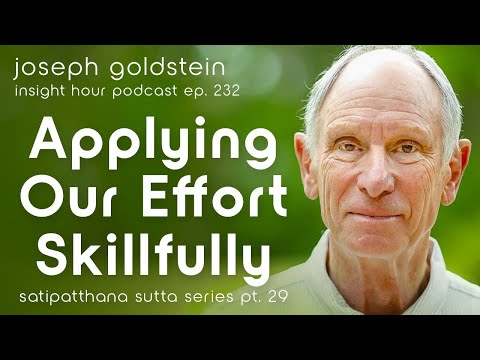 Joseph Goldstein on Applying Our Effort Skillfully – Insight Hour Ep. 232 Satipatthana Sutta Pt. 29