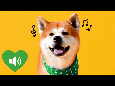 10 Sounds That Make Dogs Curious &amp; Happy 🐶