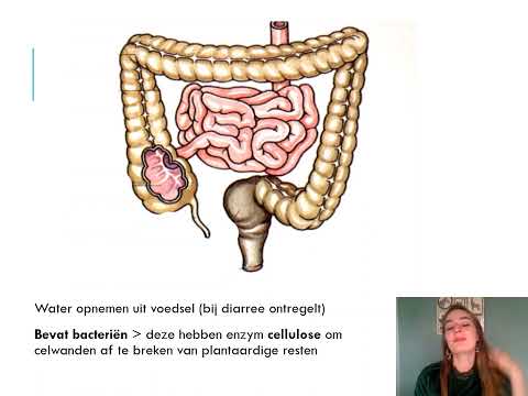 Samenvatting Voeding & Vertering 4 VMBO Biologie Voor Jou MAX