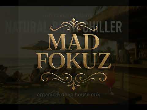 Natural Born Chiller volume 2 (deep & organic house mix)