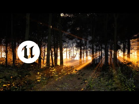 UE5.5 Beginner PCG Tutorial