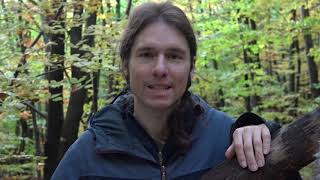 Video-Thumbnail von YouTube