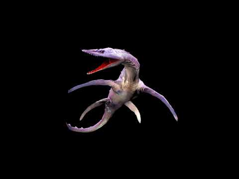 Leptocleidus ATHBT Sound Effects