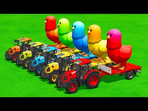 LOAD AND TRANSPORT GIANT CHICKENS WITH CLAAS TRACTORS & FORKLIFTS   Farming Simulator 25