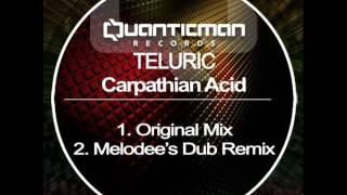 Teluric - Carpathian Acid (Melodee Remix)[QUANTICMAN RECORDS]