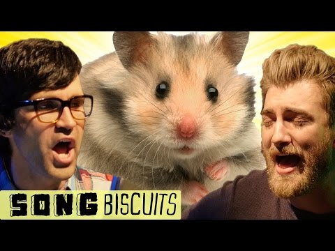 The Secret Life Of A Hamster Song video