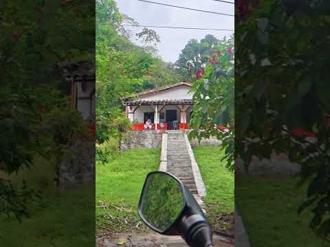 Entrando a 🇨🇴Heliconia Antioquia 💐 #antioquia