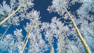 Flying Saucer Attack - Standing Stone (Audio Only)