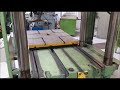 Video abspielen