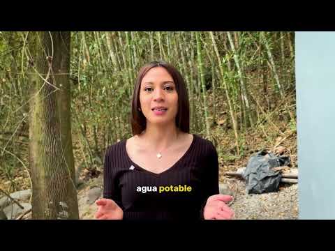 EN CONTEXTO TV - PDA Consaca