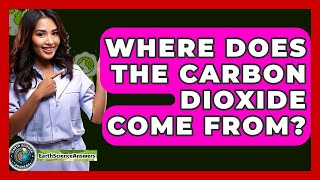 Where Does The Carbon Dioxide Come From? - Earth Science Answers