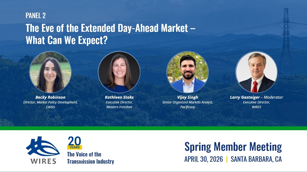 Watch Panel 2 – The Eve of the Extended Day-Ahead Market: What Can We Expect on YouTube