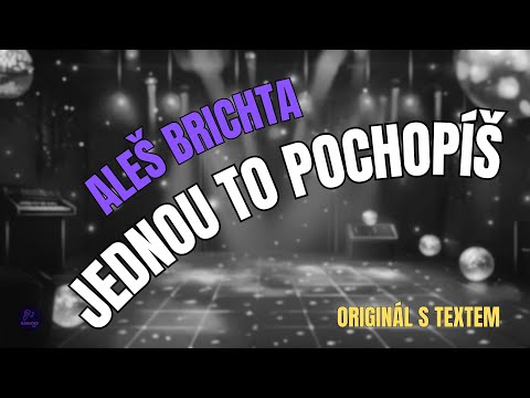 ???? Aleš Brichta – Jednou to pochopíš | Originál s textem ????