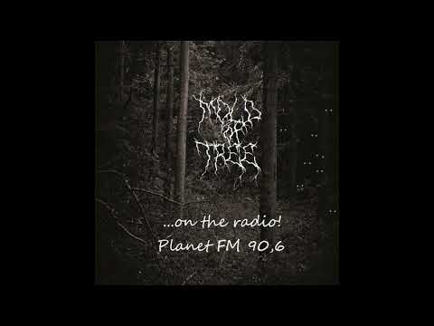 Mold of Tree on the radio [w/ English subtitles]