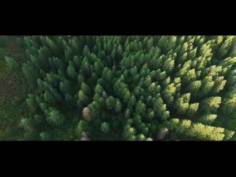 Mena, AR May 2022 [Sneak Peek]