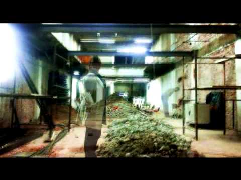 Media - Cervejaria Nacional