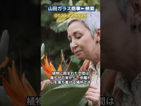 bac-a-fleurs-idees-deco-plantes-succulentes