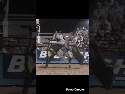 Wiley Petersen rides Cash for 91 points #bullriding #rodeo #pbr #pbrbullriding