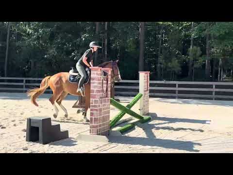 Focus Tachor Z video 1