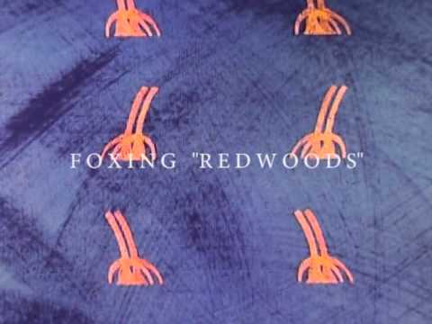 Video thumbnail for Redwoods
