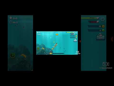 Акула вернулась к вам