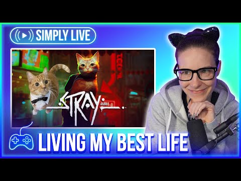 Reaching My Final Form as a Cat  (1/?) 🔴LIVE - Stray