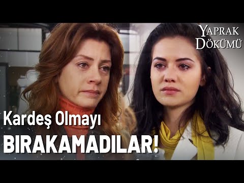 Tekin Ailesi Trabzon'a Dönüyor! - Yaprak Dökümü Özel Klip