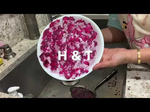 Dragon Fruit: How to Collect & Save seeds. Simple & Easy!