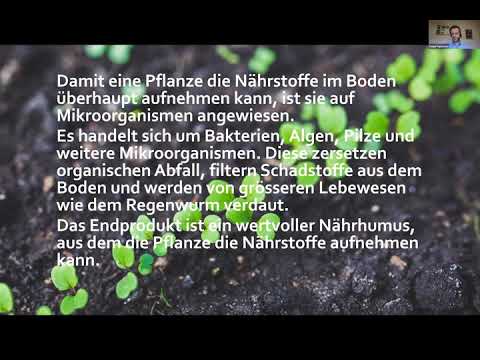 Komposttee und Mikroorganismen